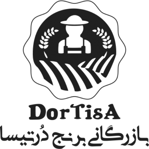 بازرگانی برنج دراتیس