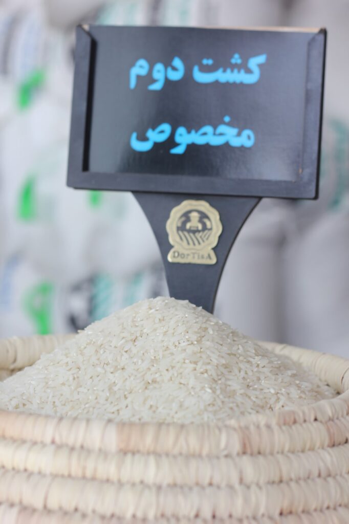 برنج کشت دوم مخصوص