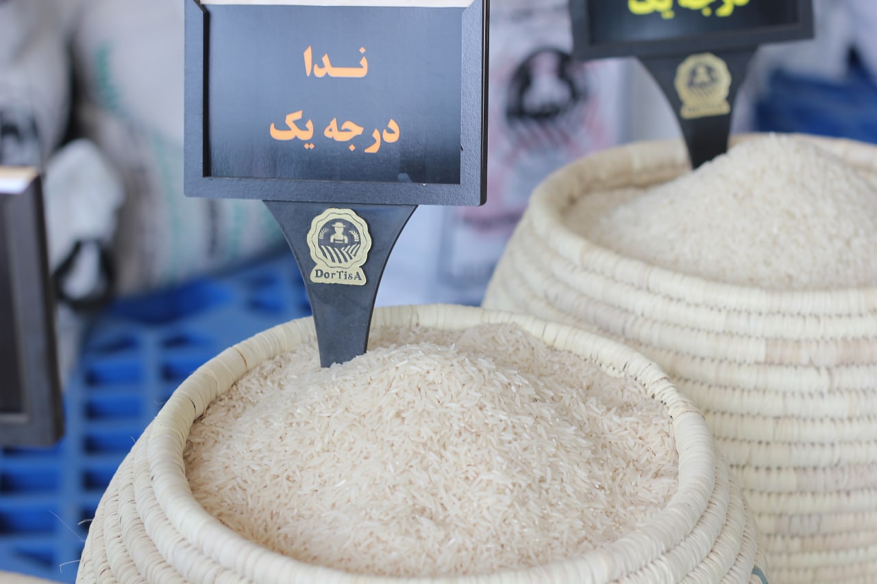 برنج ندا برنج ندا